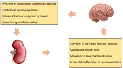 Continuous Renal Replacement Therapy in Acute Brain Injury